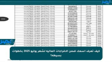 كيف تعرف اسمك ضمن الإفراجات المالية لشهر يوليو 2025 بخطوات بسيطة؟